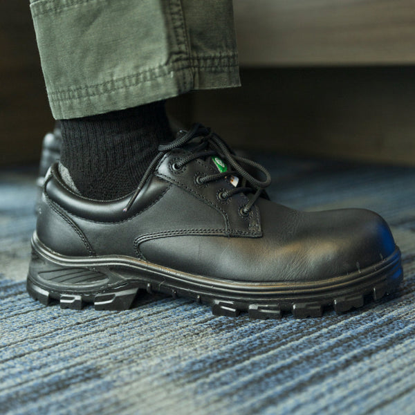 Chaussure de travail Albany Terra pour hommes, à embout composite